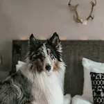 Lapland Bulevardi Hotel