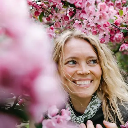 Lapland Bulevardi מלון הלסינקי