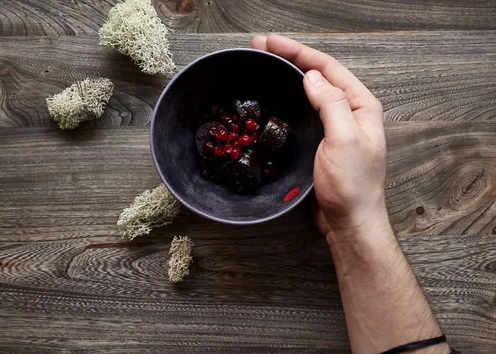 ホテル Lapland Bulevardi