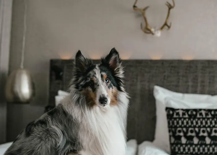 Lapland Bulevardi Hotel