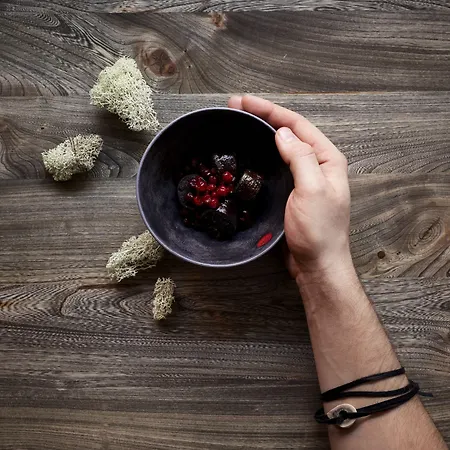 Отель Lapland Bulevardi