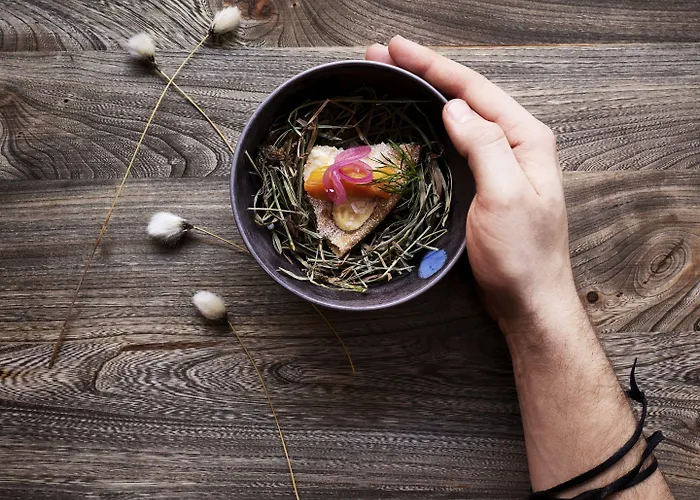 Hotel Lapland Bulevardi Helsinki